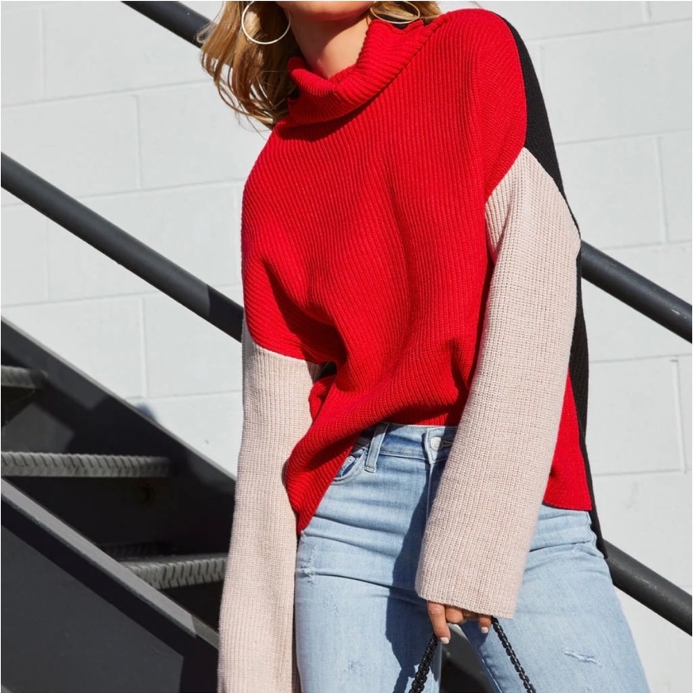 VICI | Colorblock Turtleneck Sweater
